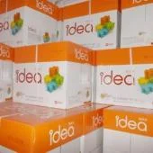 Chi Nhánh DNTN Thương Mại Sản Xuất Giấy Trường Thịnh