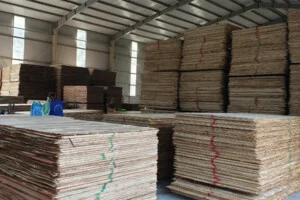 Chi Nhánh Hà Nam – Công Ty CP Gỗ Hải Phòng