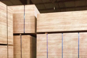 Chi Nhánh Hà Nam – Công Ty CP Gỗ Hải Phòng