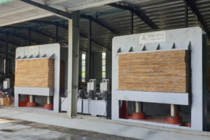 Chi Nhánh Hà Nam – Công Ty CP Gỗ Hải Phòng