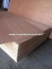 Gỗ Dán Thuận Phát Quốc Tế – Công Ty TNHH Thuận Phát Quốc Tế