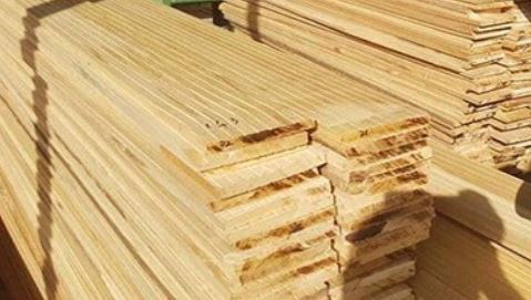Công Ty TNHH DV Tư Vấn Đầu Tư Newzone (Yến Vi Sơn)