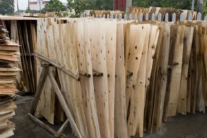 Công Ty TNHH Sản Xuất Và Thương Mại Nhà Việt