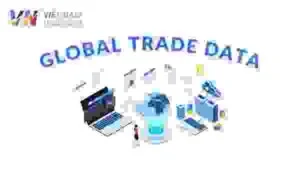 Giải Pháp Trí Tuệ Thương Mại Việt Nam – Dữ Liệu Xuất Nhập Khẩu