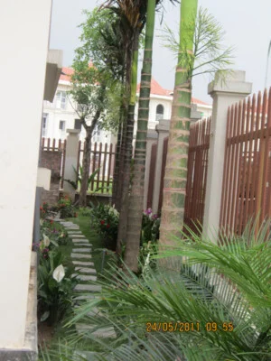 Xí Nghiệp Duy Trì Cây Xanh Số 5 – Công Ty TNHH MTV Vườn Thú Hà Nội