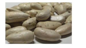 Công Ty TNHH Minh Phát