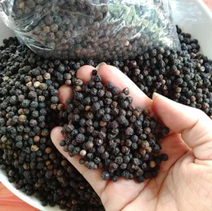 Hạt Điều Nông Trại Lata – Công Ty TNHH Nông Trại Lata