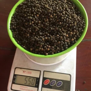 Hạt Điều Nông Trại Lata – Công Ty TNHH Nông Trại Lata