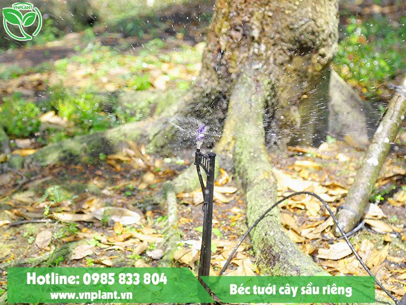 Hệ Thống Tưới Nông Nghiệp VNPlant – Công Ty TNHH Thương Mại Dịch Vụ VNPlant