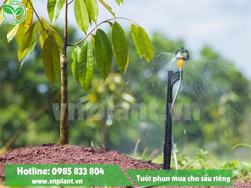 Hệ Thống Tưới Nông Nghiệp VNPlant – Công Ty TNHH Thương Mại Dịch Vụ VNPlant