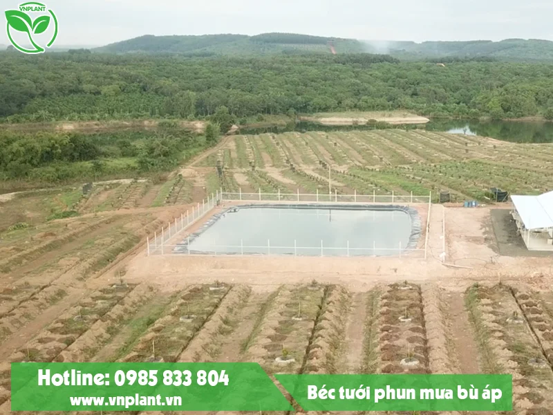 Hệ Thống Tưới Nông Nghiệp VNPlant – Công Ty TNHH Thương Mại Dịch Vụ VNPlant
