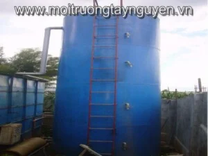 Chi Nhánh Đắk Lắk – Công Ty TNHH Thương Mại Và Dịch Vụ Môi Trường Việt