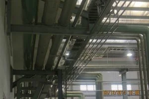 Công Ty Trách Nhiệm Hữu Hạn Phụng Luật