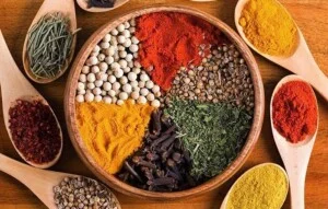 Công Ty TNHH Đầu Tư Phát Triển Hải Đăng