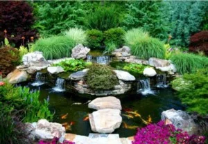 Thiết Kế Tiểu Cảnh Hồ Koi – Công Ty Cổ Phần Hoàng Thạch Văn Phú