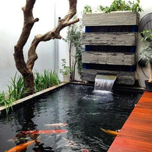 Thiết Kế Tiểu Cảnh Hồ Koi – Công Ty Cổ Phần Hoàng Thạch Văn Phú