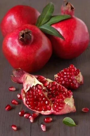 Cơ Sở Cung Cấp Nông Sản Miền Tây