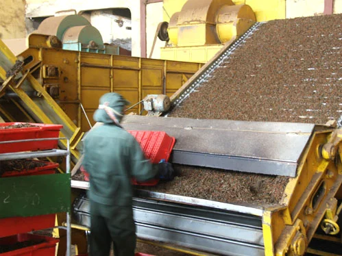 Công Ty TNHH Phát Triển Công Nghệ Và Thương Mại Tôn Vinh