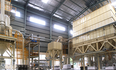 Bột Đá Thiên Long – Công Ty Cổ Phần Hóa Chất Thành Phố Hồ Chí Minh