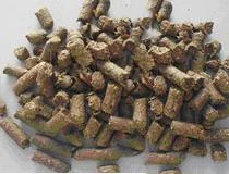 Công Ty TNHH Kim Nghĩa