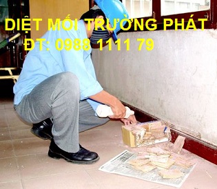 Công Ty Cổ Phần Phát Triển Trường Phát