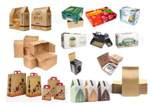 Bao Bì Carton Toàn Phương – Xưởng Sản Xuất Bao Bì Toàn Phương