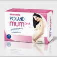 Trung Tâm Thiết Kế Đồ Họa Và Thiết Kế Bao Bì Mỹ Thuật Xanh
