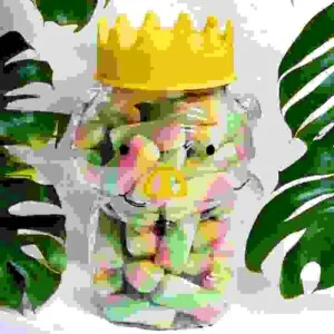 Chai Hũ Nhựa Pet Hình Nhân Vật – Công Ty TNHH Công Nghệ Hương Giang