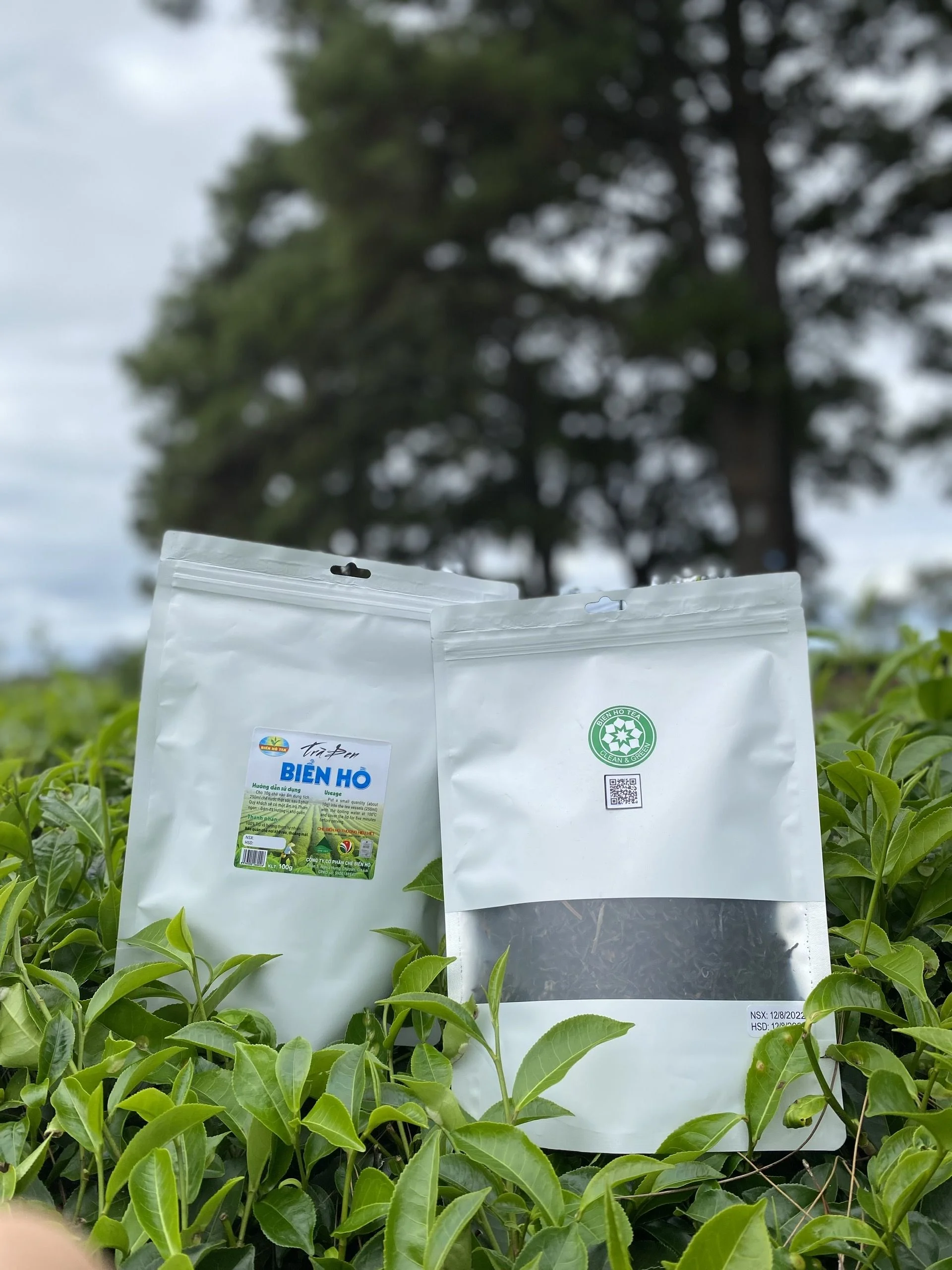 Chè Biển Hồ – Công Ty CP Chè Biển Hồ