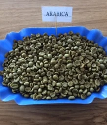 Công Ty TNHH Diệu Trần