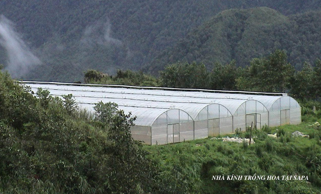 Công Ty TNHH Sản Xuất Thương Mại Hương Tuyền