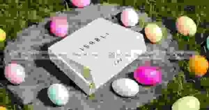 Xưởng In Và Sản Xuất Bao Bì Hồ Gia