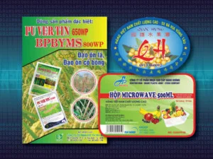 Công Ty TNHH Cánh Diều Vàng