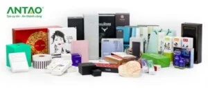 Công Ty TNHH Thương Mại Dịch Vụ An Tạo