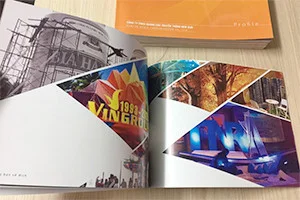 In ấn Thành Đô – Công Ty Cổ Phần Thiết Kế In Ấn Thành Đô