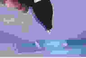 Keo Dán Henkel – Công Ty TNHH Henkel Adhesive Technologies Việt Nam