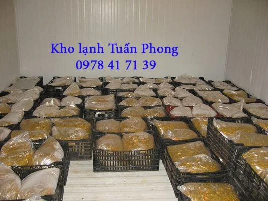 Kho Lạnh Tuấn Phong – Công Ty TNHH TM DV Điện Lạnh Công Nghiệp Tuấn Phong