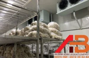 Kho Lạnh Công Nghiệp An Bình – Công Ty Cổ Phần Kỹ Thuật Công Nghiệp An Bình