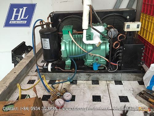 Kho Lạnh Huy Lê – Công Ty TNHH Thương Mại Dịch Vụ Kỹ Thuật Huy Lê