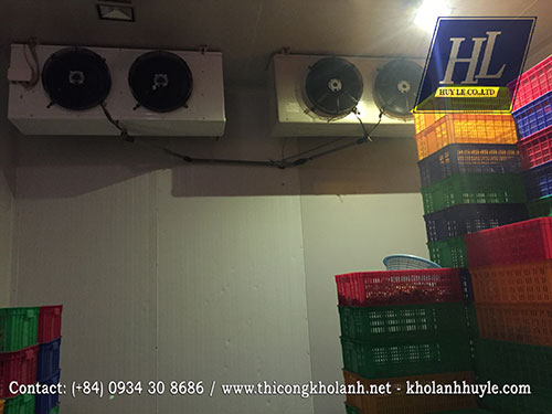 Kho Lạnh Huy Lê – Công Ty TNHH Thương Mại Dịch Vụ Kỹ Thuật Huy Lê