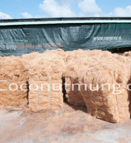 Tơ Xơ Dừa Út Mừng – Công Ty TNHH út Mừng