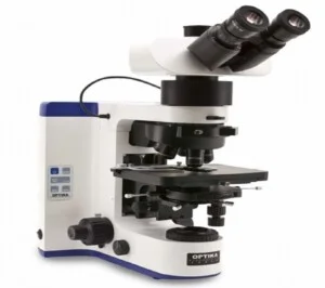 Công Ty TNHH Thương Mại Dịch Vụ Tân Việt Mỹ