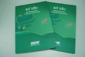 Công Ty TNHH Nhịp Cầu Việt (NhiCaVi Co., Ltd.)