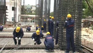 Chi Nhánh  Ty CP XNK Tổng Hợp Và Chuyển Giao Công Nghệ VN