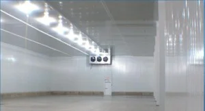 Kho Lạnh Bách Khoa – Công Ty TNHH Kỹ Thuật Lạnh Bách Khoa