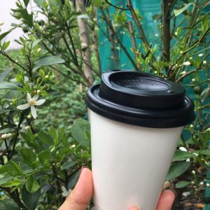 Ly Giấy Anh Thảo – Công Ty TNHH Sản Xuất Thương Mại Dịch Vụ Anh Thảo