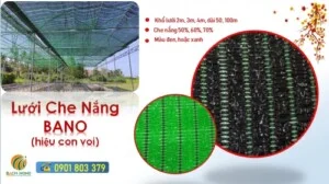 Vật Tư Nông Nghiệp Bách Nông – Công Ty TNHH Lưới Bách Nông