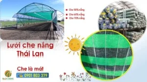 Vật Tư Nông Nghiệp Bách Nông – Công Ty TNHH Lưới Bách Nông