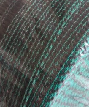 Công Ty TNHH Nam Tiền Phong