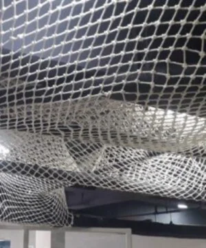 Công Ty TNHH Nam Tiền Phong